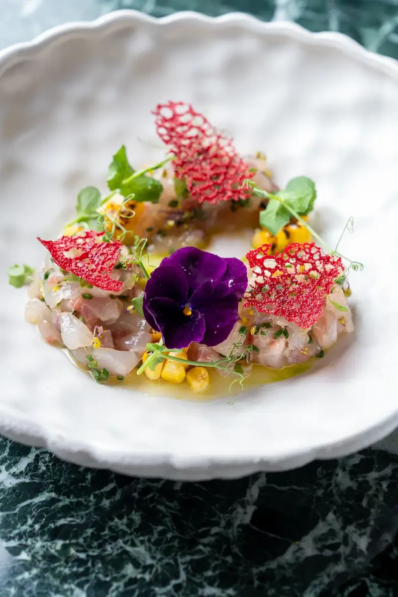 Ceviche